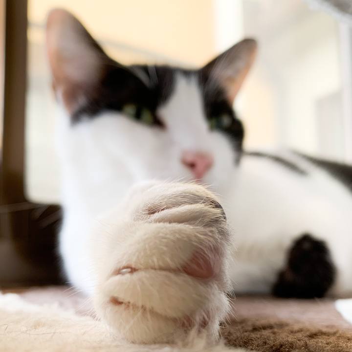 9788df32 bcca 4977 824c 7034b4e6320e 1571449185508