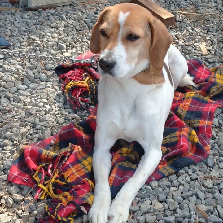 9788e3ad baf6 42cf b957 3e38d1467d00 1612931141174