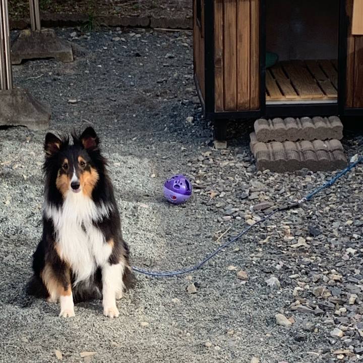 9788f2bf 3248 4fba 8510 9e19274d96e1 1554846250623