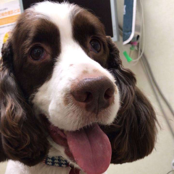 97895ab1 97de 4577 b46a 91f4996330d3 1516942088211