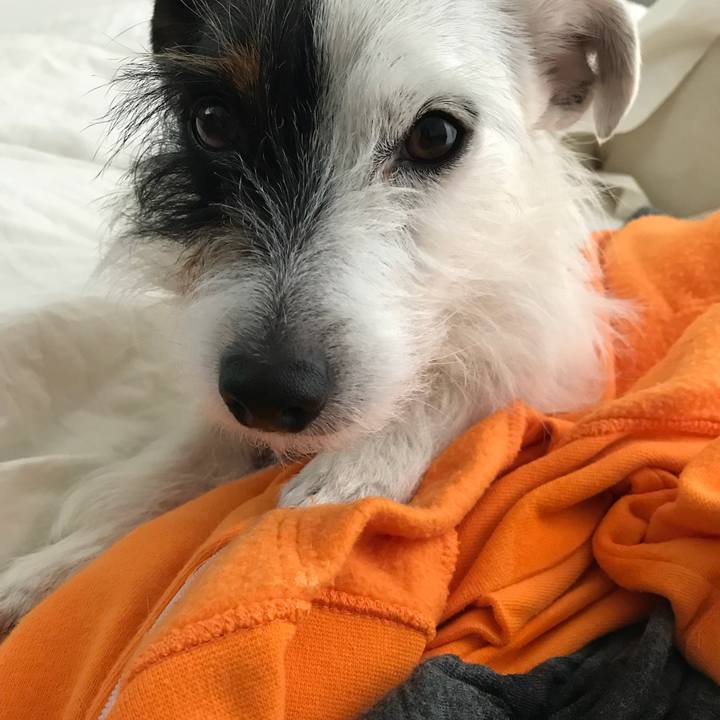 97897830 c6cf 43b4 a598 3aac85b25c1a 1520215321260