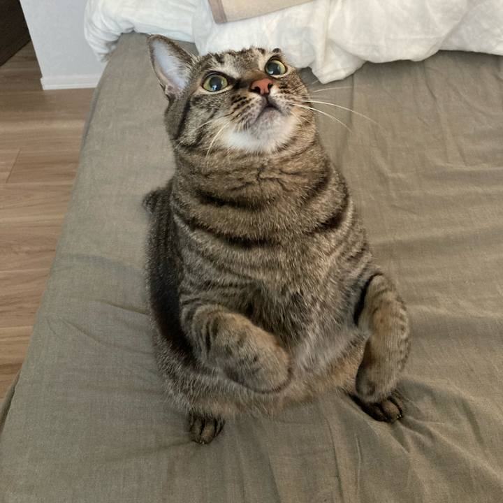 9789b3b5 da9f 46e7 aec6 478e749bd5d6 1635984867297