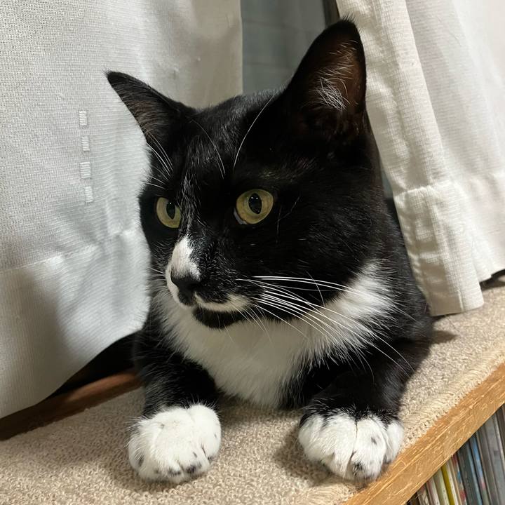 9789bd28 57cb 47d5 bca7 3cf232257713 1727856050227