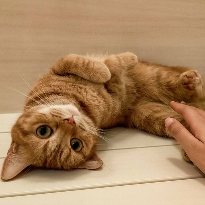 9789cb71 9c74 4d18 813c 2940d7178da4 1604374468672