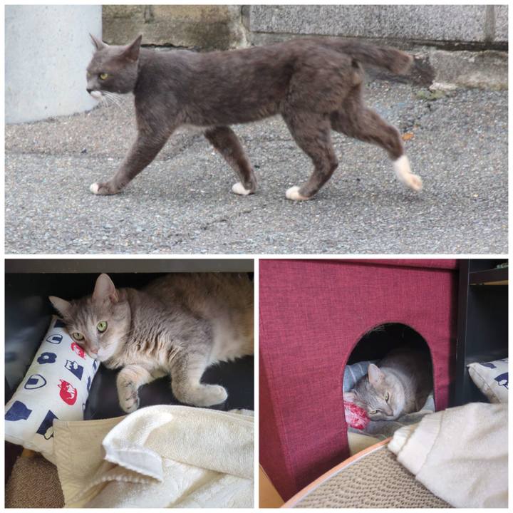 9789e522 88b1 4ac4 8a12 4e8c91af7f57 1689307823225