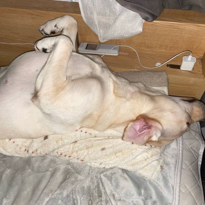 978a0c91 8267 4ef2 9561 317d687fffb6 1638861247851