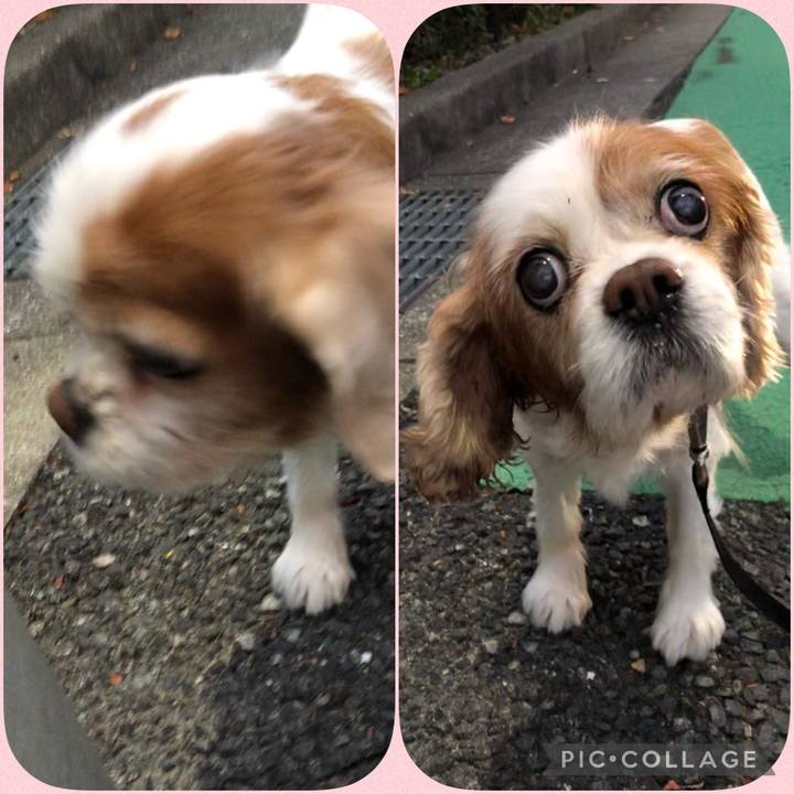 978a527f 8816 4e14 9f69 b7cfffeac687 1634129075323