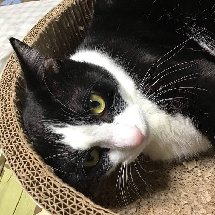 978a9b90 1e09 47ca bde6 4eb7f9f7d8de 1733389154639