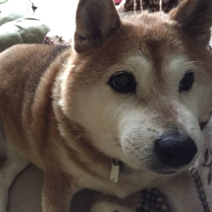 978ae663 64ba 44e6 9752 64533a18745c 1550878554262