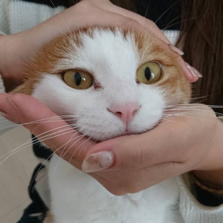 978af3ed d140 46b2 b46d 5d261e856551 1540801847388