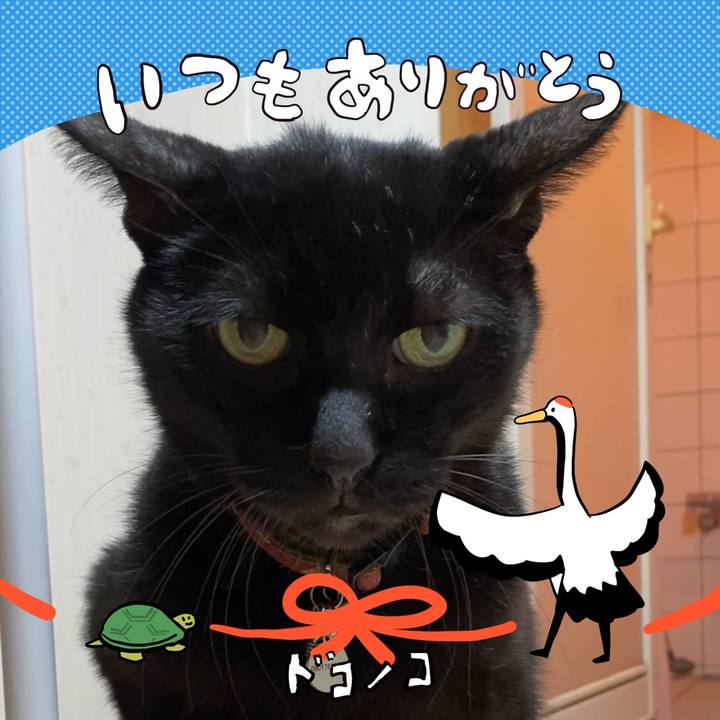 978af92a a1e0 4fcd bcdc 6349d8dc4a5a 1727095895843