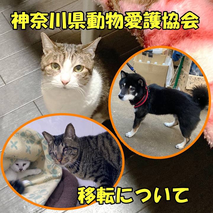 978afa44 f809 4c2f 8d82 fbfa37a48e42 1646898867989