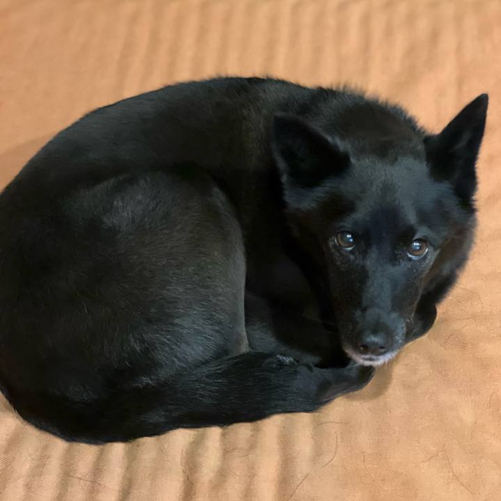 978b3e80 a296 47dc bb69 c26fa92c1b99 1702253112872