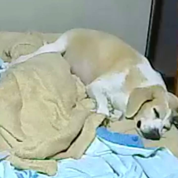 978be1a4 7f46 4924 9dd8 91e406f34196 1602734427267