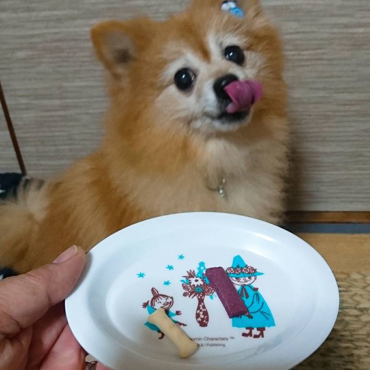 978c4287 4e42 4e0f 957b 72d636546f2a 1541887071205