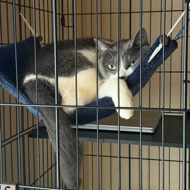 978c59a6 88f0 4319 84ee 66f64cb3d818 1766534025801