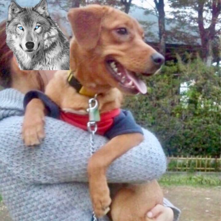 978cacc9 7214 45b7 9484 a63b0632ff40 1521352409383