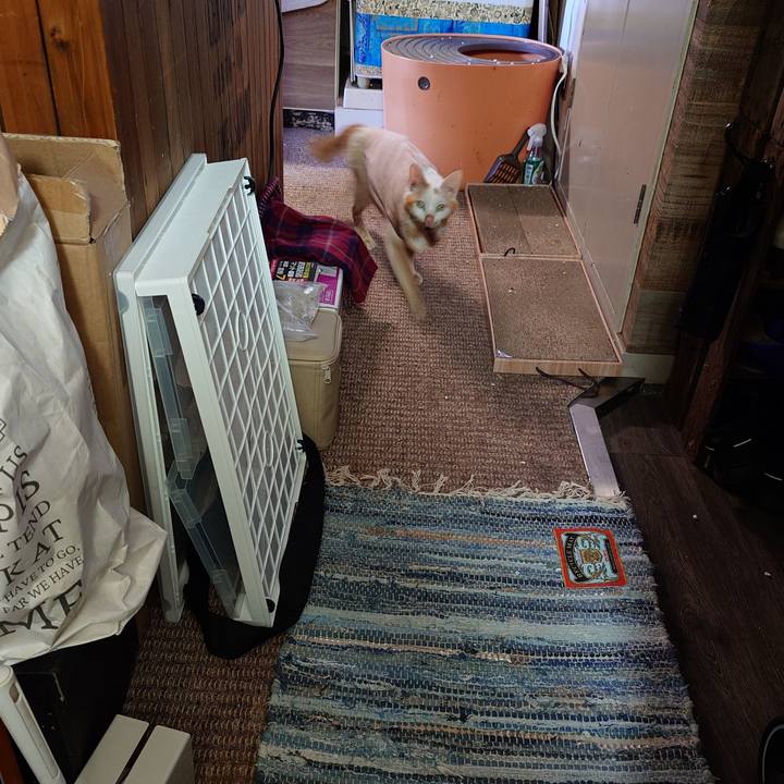 978ce2a6 44de 4f60 af27 d24623b0cd0f 1769918788774