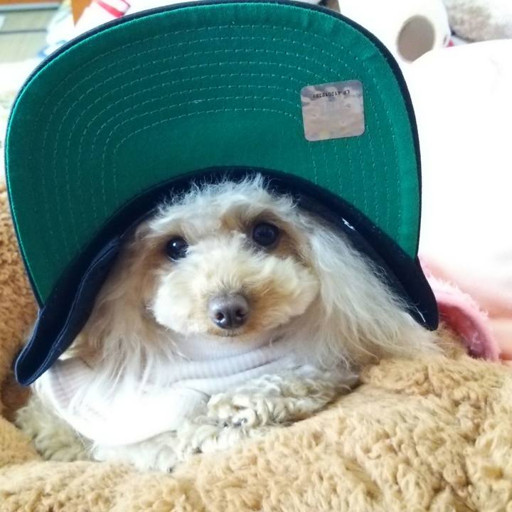 978d2dbb 0bf4 4090 8681 342a8b630910 1515756900870