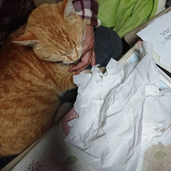 978d5f60 6094 46bb 8778 5c7c97def6e4 1586725605903