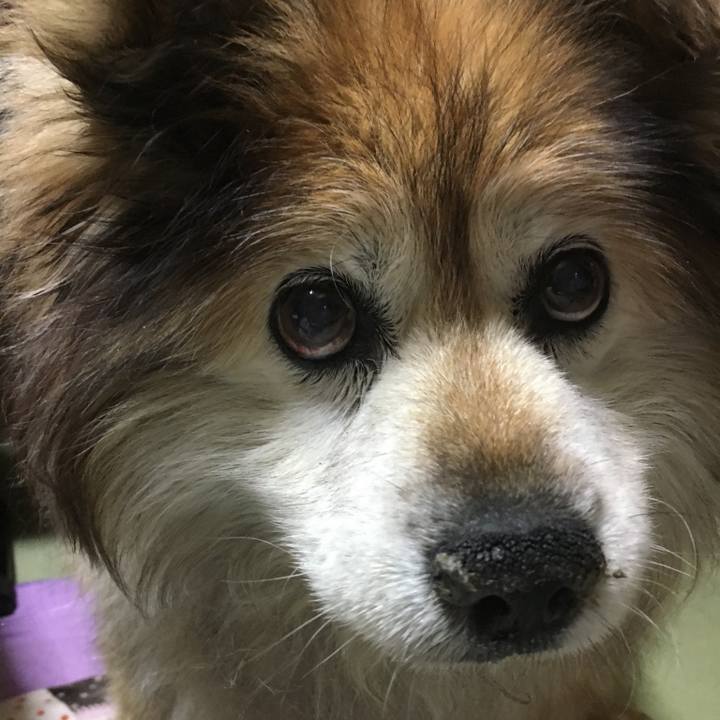 978ddb1c 9086 468a afd4 0f37bb72ea76 1603848486967