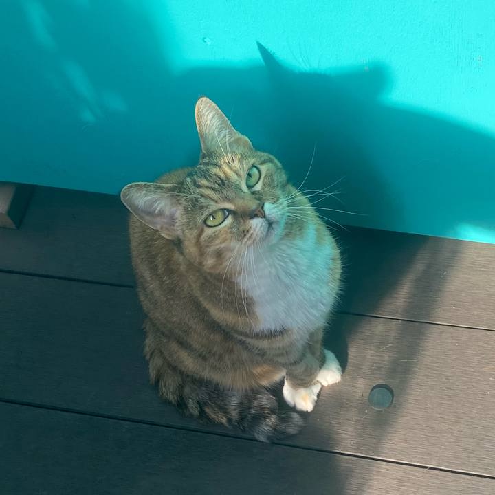 978df4f2 739d 42bf b53e a817843e7ac1 1747309018093