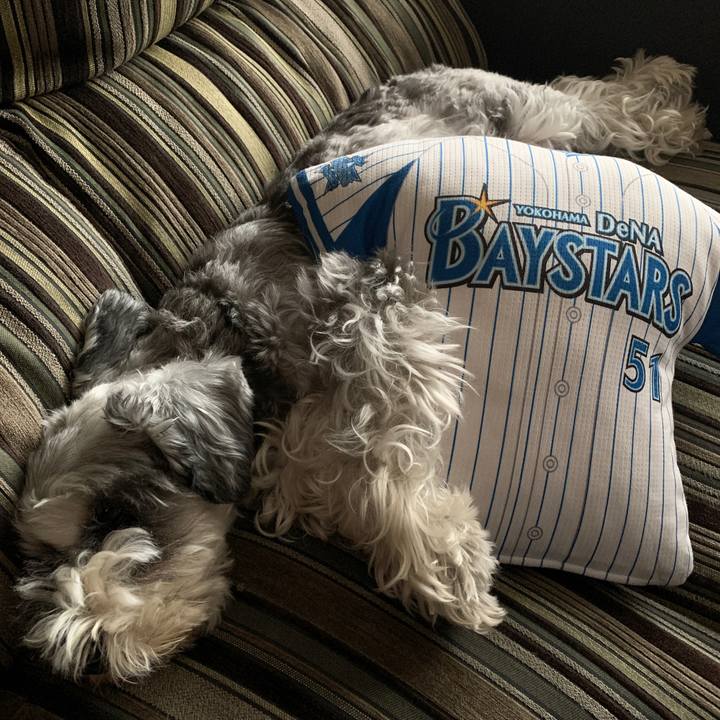 978e50cf d784 415b 9ef9 fd58fb444366 1601696743698