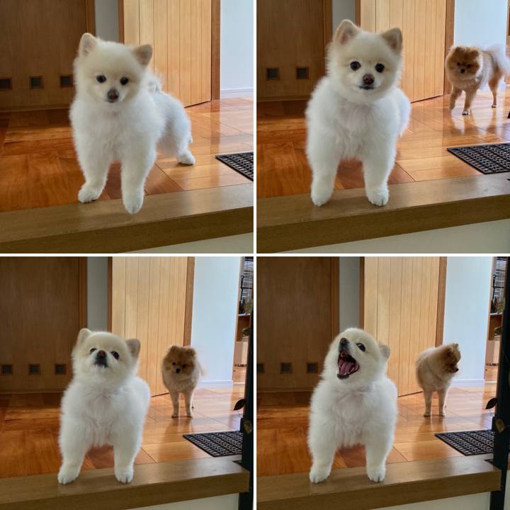 978e5820 c8bd 470b 9dd2 7b685a2e2c44 1653347240636