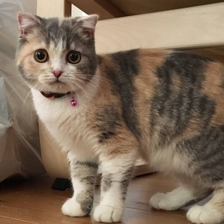 978e94ae 7c14 483e ae42 b116e790ae29 1657011382502