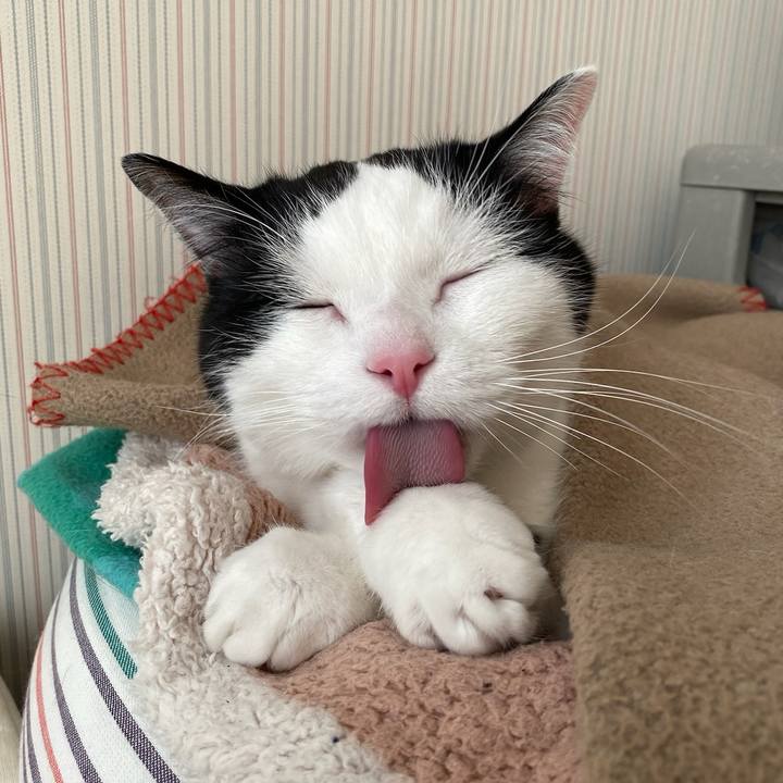 978e9d5f f4b9 4cd6 8cdb c1fedf7ac302 1769209933337