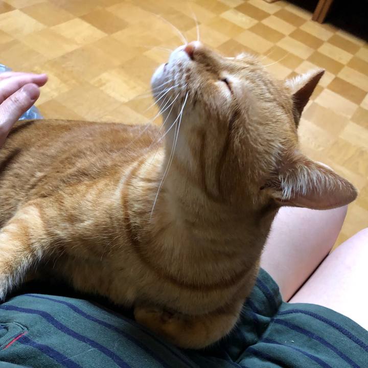 978ea0f4 bab0 4eef 9b0b 7f09aea4f13b 1591102128659