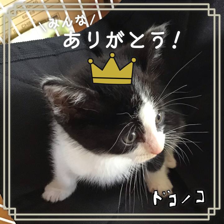 978ee4b1 1637 4760 aa9e 837df6fa6846 1622870348829