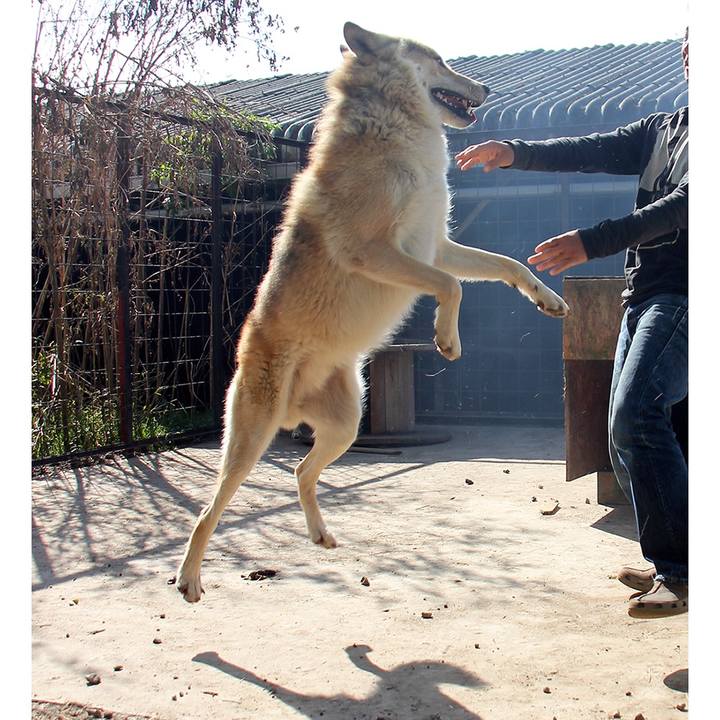 978ee6dd f960 4dd0 8d7f b640d0e47523 1542465201263