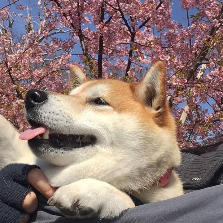 978f2e13 1f16 4b51 a352 f57edac584f7 1614569480186