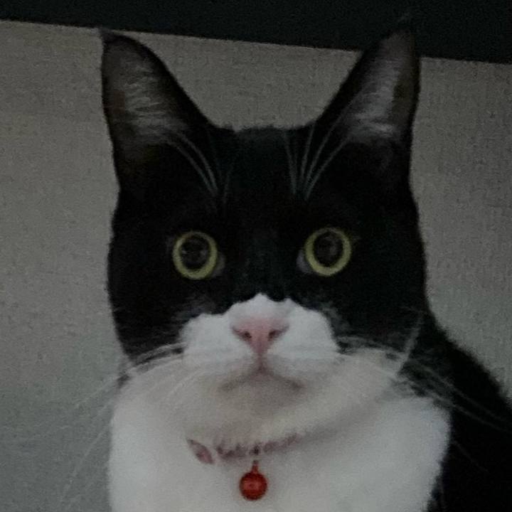 978f3821 0125 4b08 a960 340747a817fb 1674534664549