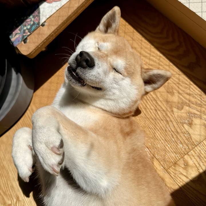 978f3f42 ac63 46fd a381 2df7a171e7e9 1772848419373