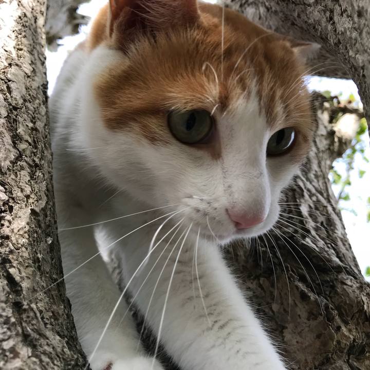 978f4f9e 48e3 44a0 8eb2 91cd6e86bf93 1509162809860