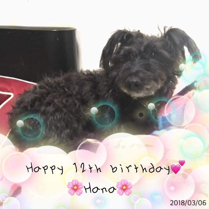 978f7ea6 f091 44e9 be5f 902146ee4349 1520294517806