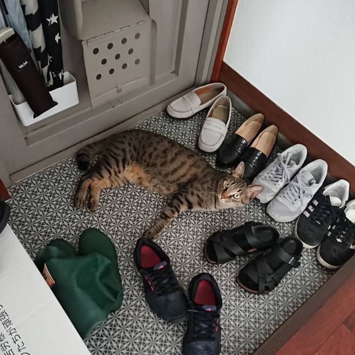 978f9251 823b 4c4d 9506 2d06caf522db 1535004127838