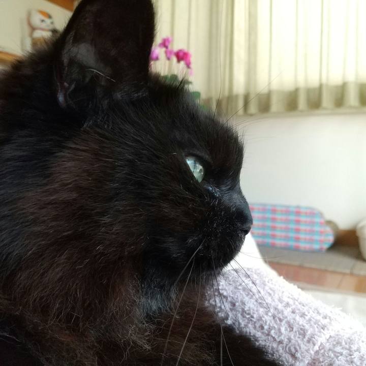 9790059e df9b 4ca6 a4de 39035b415657 1616136586179