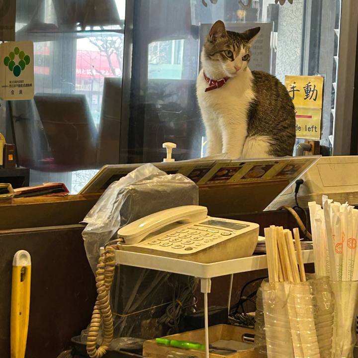 979053ec 554b 4f4f a329 3d475a5c5381 1709561242011