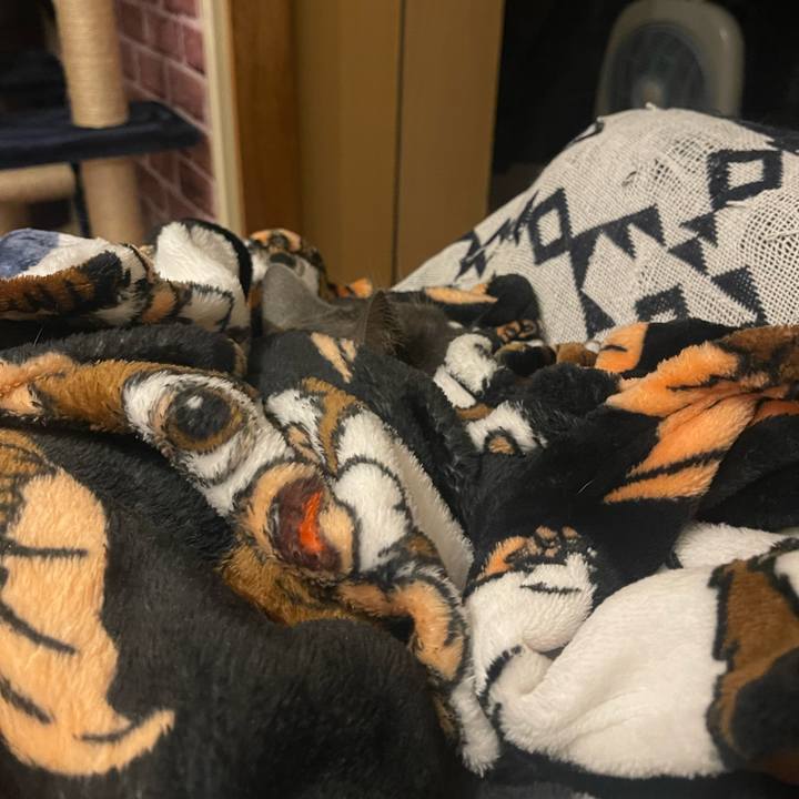 97907911 1f64 4b32 9061 58a998de7d95 1702555310097