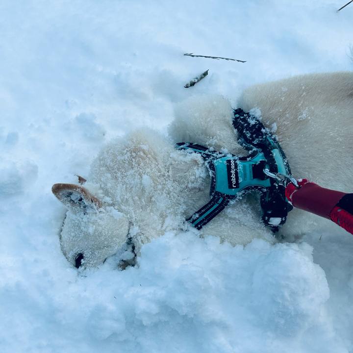 97907a68 7e91 4352 9d5c f9d7bdbc3ec6 1700955332056