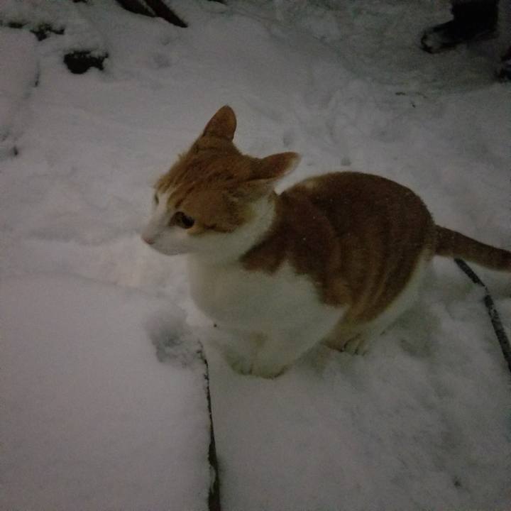 9790b67a c7e7 4f97 a770 e45e7e43bb91 1516618768037