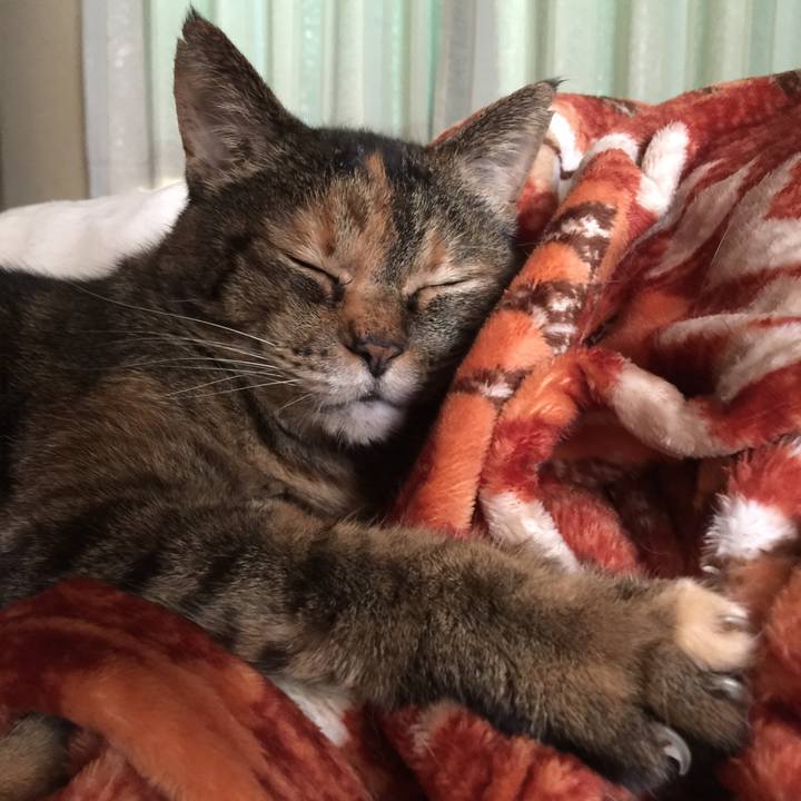 9790cc46 c561 4a9d 957f 54af52cc6a85 1529468879479