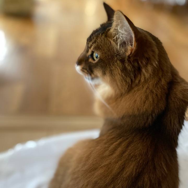 97913e09 2868 4a63 867a 8ff78359554c 1675323016273