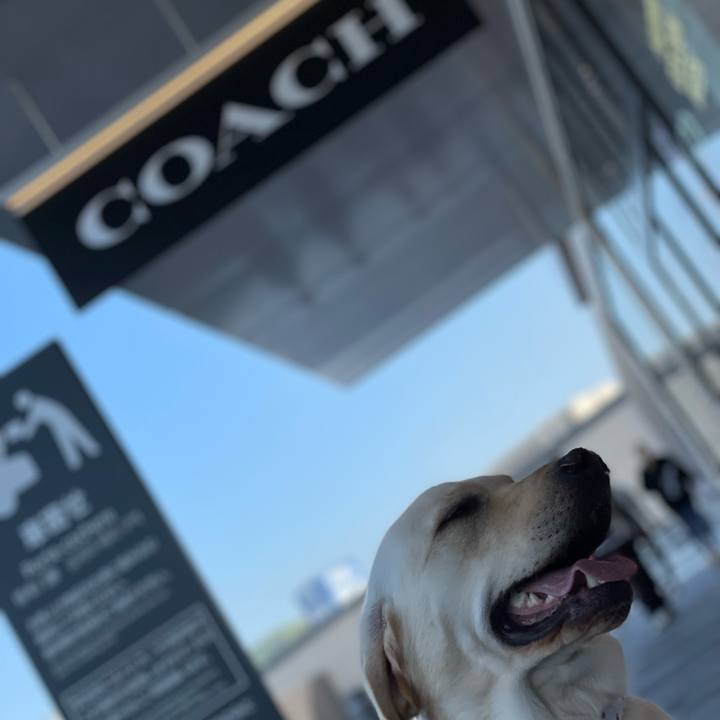 97913f4d 3323 4939 948c d004d57b37c6 1651305951623