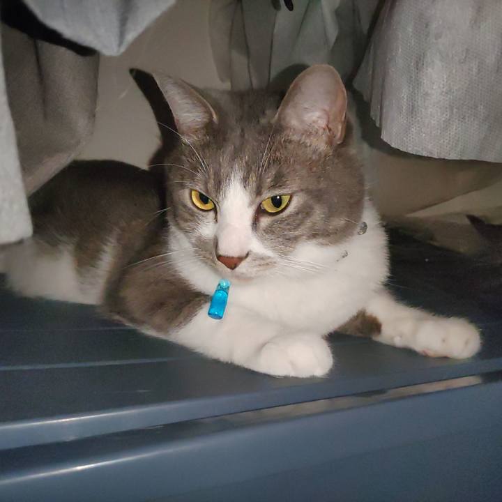 97915149 d8dc 4169 8c51 4890311206b3 1689377217305