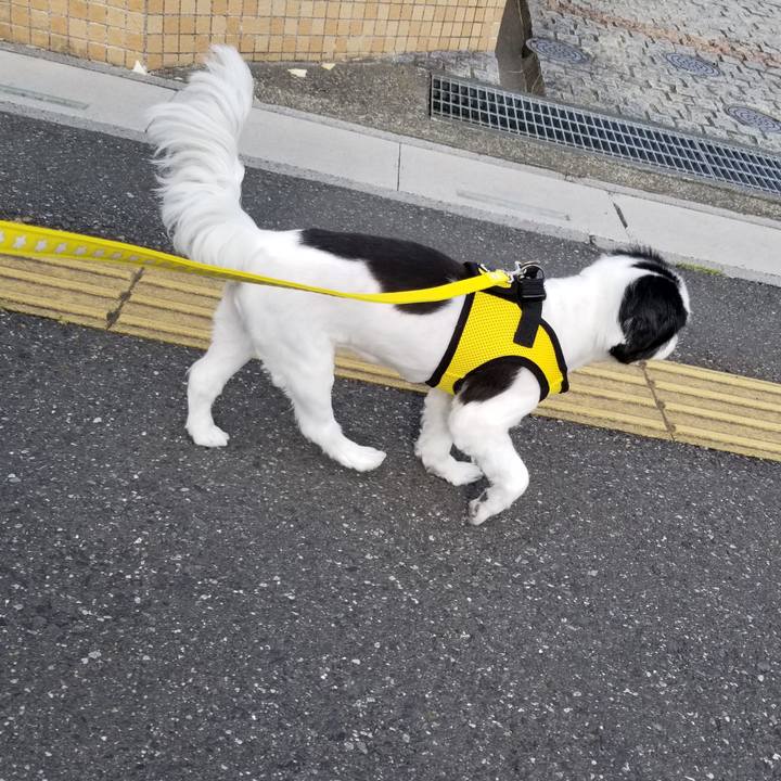 9791d82a ca17 4fb5 ae10 df549d71f9ba 1588580221439