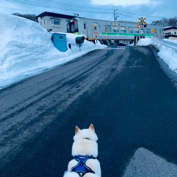 9791de5a a302 49f2 b294 3c27098b1fed 1646690075822